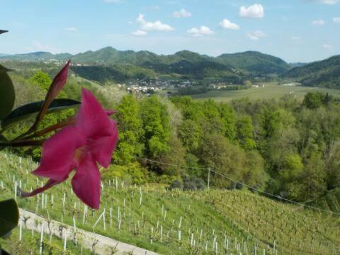 Colle Del Sole 호텔 미아네 외부 사진
